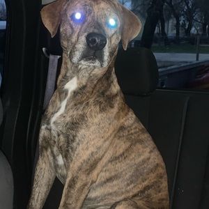 Meet your Posher, Abigayle